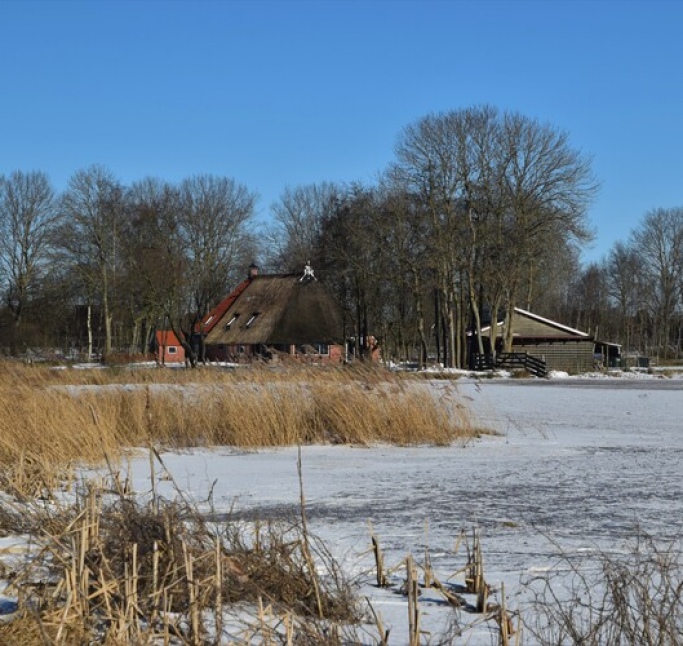 Foarhûs